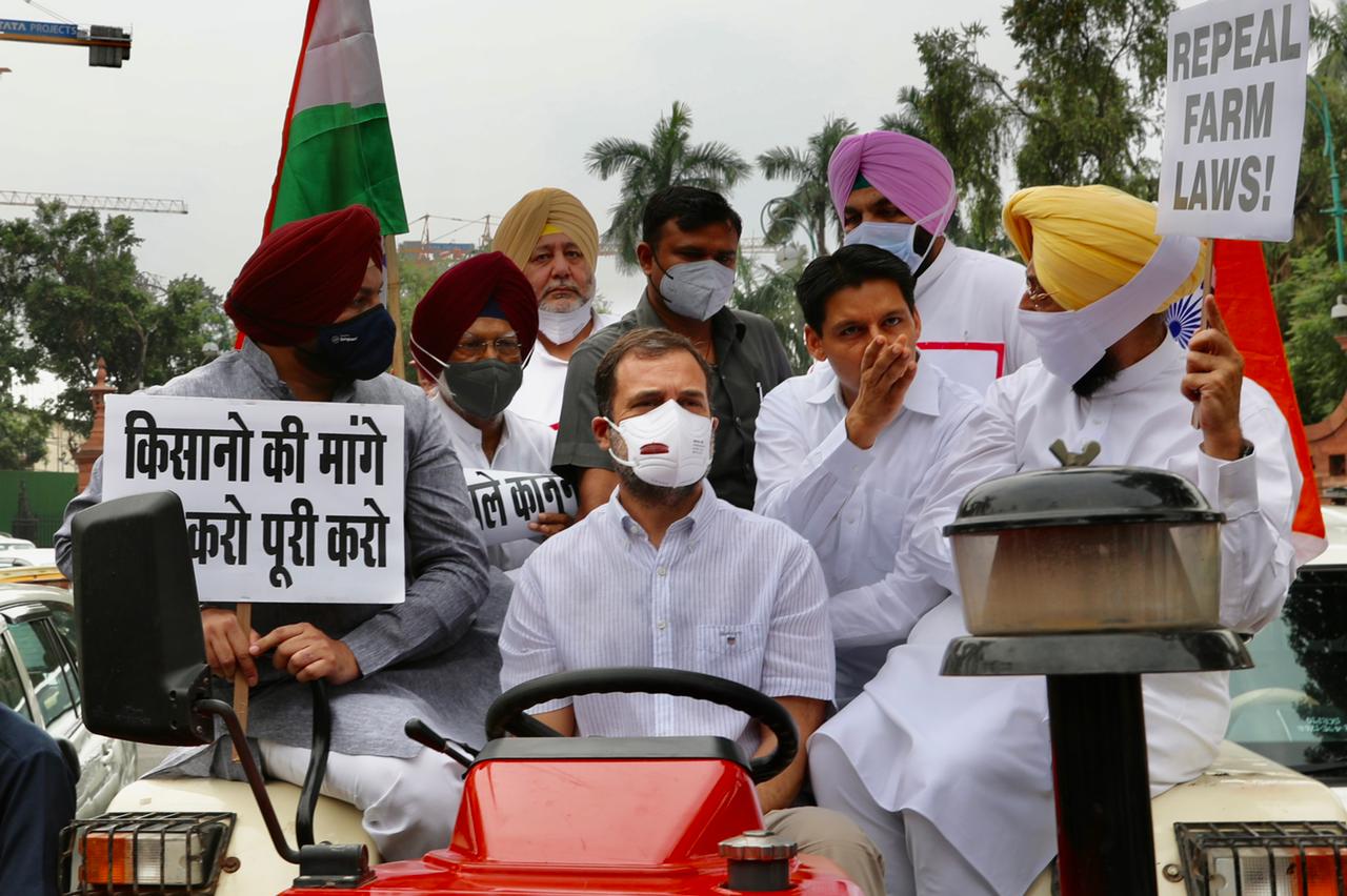 Rahul Gandhi rides a tractor on his way to Parliament. (Source: Twitter)