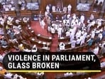 A TMC MP allegedly engaged in a brawl with security personnel after her suspension (RS TV) 