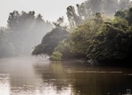 The Bhitarkanika National Park in Odisha houses an estimated 70 per cent of the country's estuarine or saltwater crocodile population. (Photo via social media) The Bhitarkanika National Park in Odisha houses an estimated 70 per cent of the country's estuarine or saltwater crocodile population. (Photo via social media)