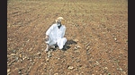 A farmer at his field after sowing seeds, on a hot summer day in Chikmagalur on July 2. (PTI) A farmer at his field after sowing seeds, on a hot summer day in Chikmagalur on July 2. (PTI)