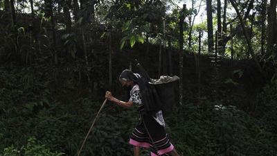 An elderly Naga, wearing a face mask as a precaution against the coronavirus, walks homewards after a day in the field in Kohima, capital of the northeastern state of Nagaland. (AP) An elderly Naga, wearing a face mask as a precaution against the coronavirus, walks homewards after a day in the field in Kohima, capital of the northeastern state of Nagaland. (AP)