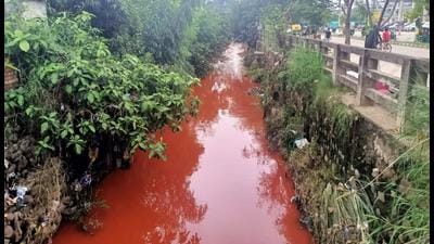 The chemical discharge has been flowing into a seasonal rivulet in Dhakoli for the last three days, turning it red. (HT PHOTO)