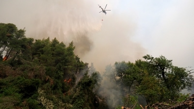Greek firefighters have been battling several heatwave-fuelled forest infernos, including around Athens that have destroyed or damaged dozens of homes and businesses and forced the evacuation of villages, and others in the south and on the island of Euboea. (AP)