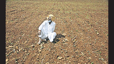 A farmer at his field after sowing seeds, on a hot summer day in Chikmagalur on July 2. (PTI) A farmer at his field after sowing seeds, on a hot summer day in Chikmagalur on July 2. (PTI)