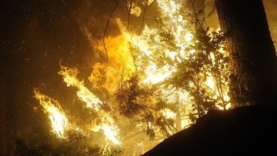 After an all-night battle with the flames, firefighters appeared to have saved the ancient Olympics site. (Representational Image) After an all-night battle with the flames, firefighters appeared to have saved the ancient Olympics site. (Representational Image)