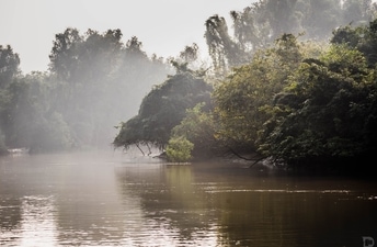 The Bhitarkanika National Park in Odisha houses an estimated 70 per cent of the country's estuarine or saltwater crocodile population. (Photo via social media) The Bhitarkanika National Park in Odisha houses an estimated 70 per cent of the country's estuarine or saltwater crocodile population. (Photo via social media)