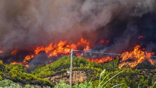 A forest fire engulfs the forest of a mountain side in the area of Platanos village, near ancient Olympia in western Greece on August 4.(STR/Eurokinissi/AFP)