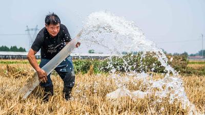 In this file photo, a farmer waters a cornfield in Weifang, China’s eastern Shandong province. (AFP) In this file photo, a farmer waters a cornfield in Weifang, China’s eastern Shandong province. (AFP)
