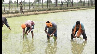The scheme, called ‘mission lal lakeer’ in Punjab, will give integrated property validation solution to rural dwellers. (HT File) The scheme, called ‘mission lal lakeer’ in Punjab, will give integrated property validation solution to rural dwellers. (HT File)