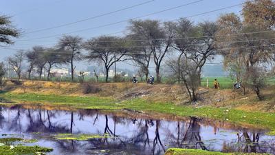 The incident took place at a village under Jitna police station limits in East Champaran on Friday. (Representative image)