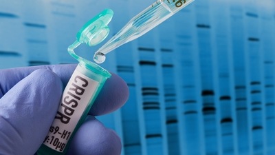 The team is led by Jennifer Doudna who shared the 2020 Nobel Prize in chemistry for the invention of the CRISPR-Cas9 genome editing. David Savage and Patrick Hsu are also part of the team. (iStock) The team is led by Jennifer Doudna who shared the 2020 Nobel Prize in chemistry for the invention of the CRISPR-Cas9 genome editing. David Savage and Patrick Hsu are also part of the team. (iStock)