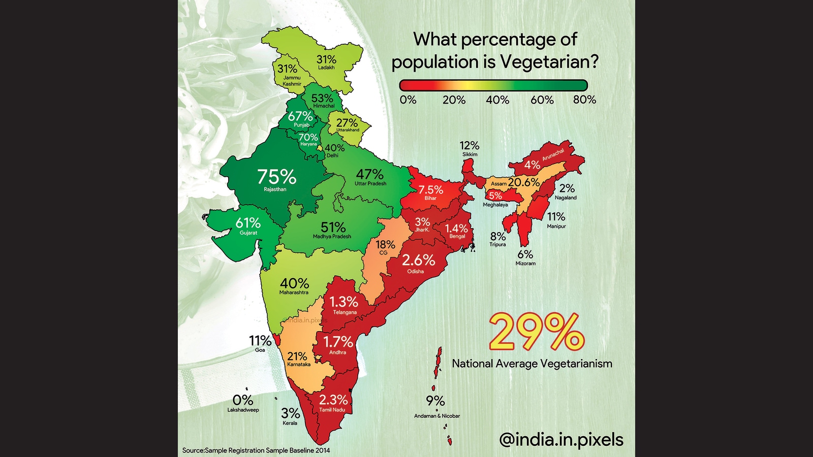 This coder is painting detailed pictures of India using public data