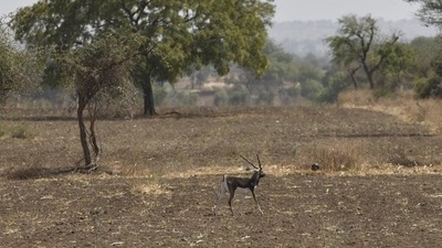 The policy also calls for unutilised land from all departments and boards to be clubbed under the revenue and disaster management departments. (HT File Photo )