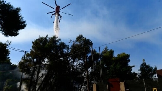 A helicopter drops water over fire in Thrakomacedones area, in northern Athens, Greece on August 7. (AP Photo/Michael Varaklas)