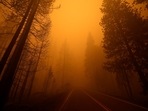 The Dixie blaze is the largest active wildfire in the United States, but one of only 11 major wildfires in California. In picture - Burned trees on one side and unburned trees on the other at the site of the Dixie Fire, a wildfire near the town of Greenville, California.