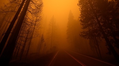 The Dixie blaze is the largest active wildfire in the United States, but one of only 11 major wildfires in California. In picture - Burned trees on one side and unburned trees on the other at the site of the Dixie Fire, a wildfire near the town of Greenville, California. (Reuters)