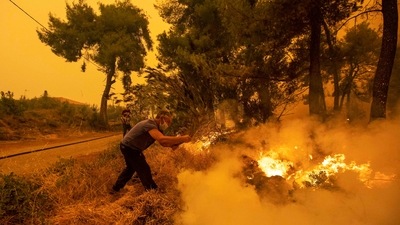 A man uses a tree branch to extinguish a wildfire burning in the village of Pefki, on the island of Evia, Greece. (Reuters)