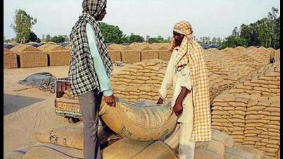Missing wheat: Three officials suspended, chargesheet filed against 2 Missing wheat: Three officials suspended, chargesheet filed against 2