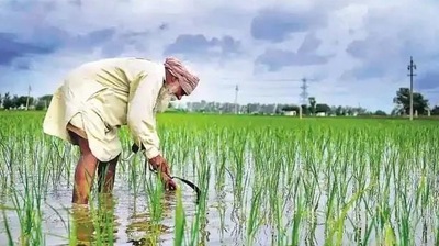 Farmers can enrol themselves for this scheme by self-registering through the PM-Kisan portal Farmers can enrol themselves for this scheme by self-registering through the PM-Kisan portal
