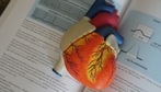 A latest study found that a commonly-prescribed weight-loss drug called liraglutide successfully targets fat that can help maintain heart health.(Unsplash) A latest study found that a commonly-prescribed weight-loss drug called liraglutide successfully targets fat that can help maintain heart health.(Unsplash)