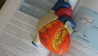 A latest study found that a commonly-prescribed weight-loss drug called liraglutide successfully targets fat that can help maintain heart health. (Unsplash) A latest study found that a commonly-prescribed weight-loss drug called liraglutide successfully targets fat that can help maintain heart health. (Unsplash)