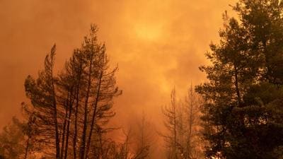 Trees and vegetation burn outside the village of Galatsona, on Evia island, Greece. The United Nation’s Intergovernmental Panel on Climate Change (IPCC) released its sixth assessment report on Monday. The predictions are calamitous. (Bloomberg)