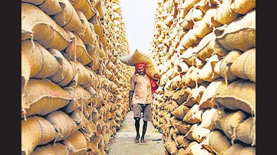 Besides, cereals worth ₹1.39 crore were stolen or pilfered between 2017 and 2021, data in the report shows. (HT file photo) Besides, cereals worth ₹1.39 crore were stolen or pilfered between 2017 and 2021, data in the report shows. (HT file photo)