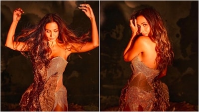 Malaika earlier made headlines when she took to her Instagram handle to share pictures of herself in a rustic thigh-high slit strapless gown . (Instagram/@malaikaaroraofficial)