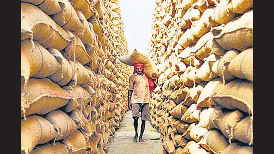Besides, cereals worth <span class='webrupee'>?</span>1.39 crore were stolen or pilfered between 2017 and 2021, data in the report shows. (HT file photo)