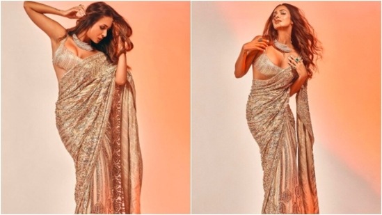 Malaika looked to die for in an embellished metallic saree which she teamed with a sleeveless sequined blouse.(Instagram/@malaikaaroraofficial)