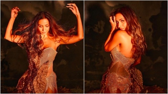 Malaika earlier made headlines when she took to her Instagram handle to share pictures of herself in a rustic thigh-high slit strapless gown .(Instagram/@malaikaaroraofficial)