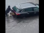 The image shows Puck the doggo helping out Lori Gillies.(Facebook/@Lori Gillies) The image shows Puck the doggo helping out Lori Gillies.(Facebook/@Lori Gillies)