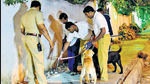 Bengaluru blast: One killed another injured (PTI) Bengaluru blast: One killed another injured (PTI)