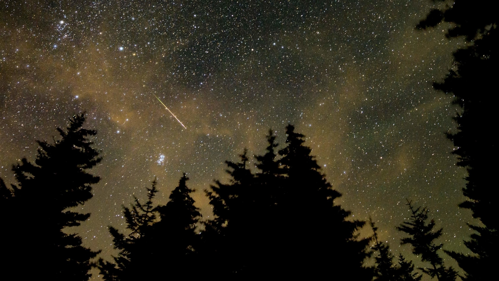 Perseid Meteor Shower 2025 New Mexico