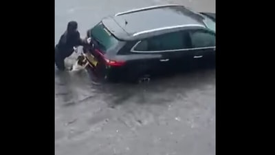 The image shows Puck the doggo helping out Lori Gillies. (Facebook/@Lori Gillies) The image shows Puck the doggo helping out Lori Gillies. (Facebook/@Lori Gillies)