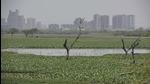 Najafgarh drain in New Delhi. (Vipin Kumar/HT PHOTO) Najafgarh drain in New Delhi. (Vipin Kumar/HT PHOTO)