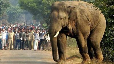 Representational image. (PTI) Representational image. (PTI)