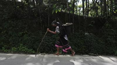RIIN was initiated in 2019 after a state government committee recommended the creation of such a registry primarily to prevent issuance of fake “indigenous inhabitant” certificates (AP) RIIN was initiated in 2019 after a state government committee recommended the creation of such a registry primarily to prevent issuance of fake “indigenous inhabitant” certificates (AP)