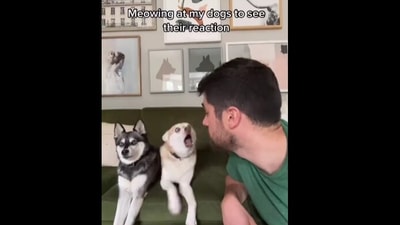 The image shows Skye and Cooper protesting in disbelief. (Instagram/@lifewithkleekai)