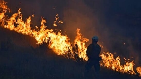 The wildfires come as temperatures were forecast to reach highs of around 40 degrees Celsius (104 degrees Fahrenheit) in much of Spain and neighbouring Portugal in the coming days.(AP file photo. Representative image)