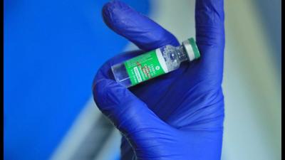 People intending to travelto HP by bus will only be able to book a ticket on producing a Covid negative test report or a vaccination certificate. (Representative Image/HT File) People intending to travelto HP by bus will only be able to book a ticket on producing a Covid negative test report or a vaccination certificate. (Representative Image/HT File)
