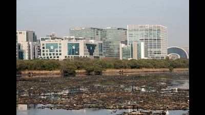 A huge layer of garbage on Mithi river in Mumbai on February 5, 2020. (Satyabrata Tripathy/HT Photo) A huge layer of garbage on Mithi river in Mumbai on February 5, 2020. (Satyabrata Tripathy/HT Photo)