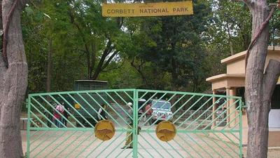 The Corbett Tiger Reserve, which is spread across 1,288 square km, is one of the most popular tourist destinations in the state. The gates of the park open on November 15 every year for six months till mid-June. (HT PHOTO.)