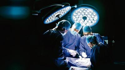 World Organ Donation Day (Shutterstock)