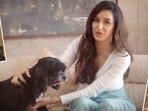 The Tails of Boo-Boo & Cuddly Poo is a unique and first such documentary that shed awareness on the condition of stray animals.(LifeBeyondNumbers) The Tails of Boo-Boo & Cuddly Poo is a unique and first such documentary that shed awareness on the condition of stray animals.(LifeBeyondNumbers)