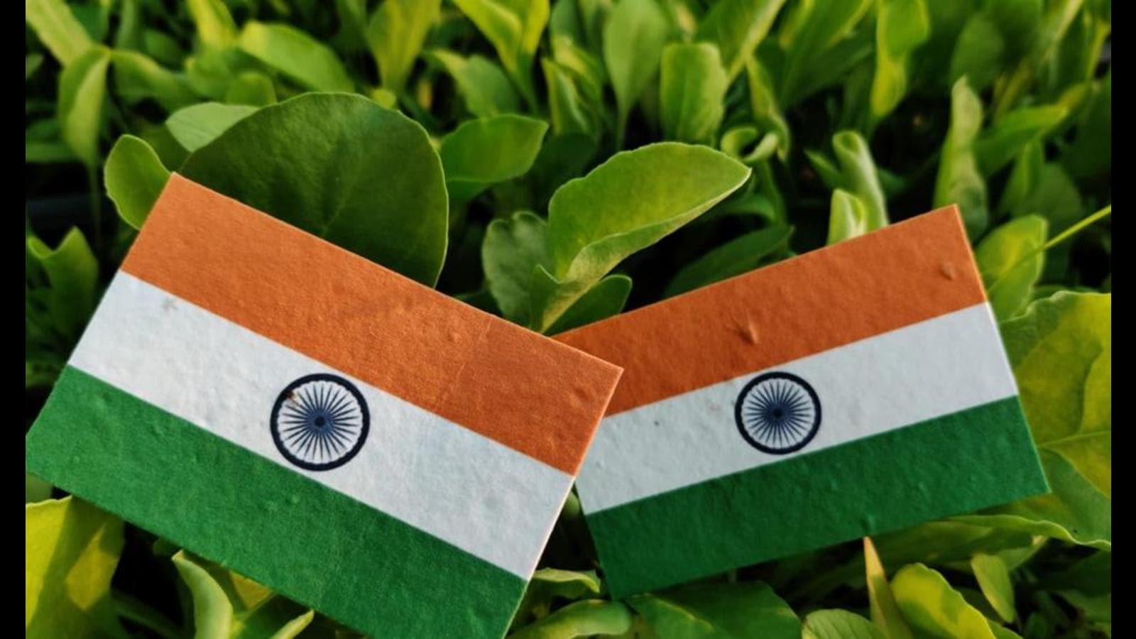 #IndependenceDay2021: Ditch plastic, opt for eco-friendly Tricolour!