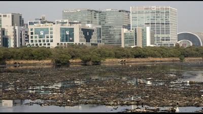 View of polluted Mithi river. (FILE) View of polluted Mithi river. (FILE)