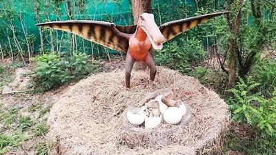 A pterodactyl on display at Chhatbir Zoo in Mohali. (HT PHOTO)