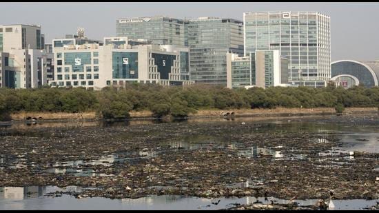 View of polluted Mithi river. (FILE) View of polluted Mithi river. (FILE)