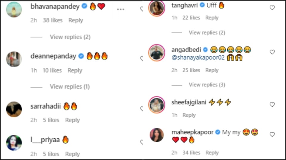 Shanaya Kapoor's comments section.